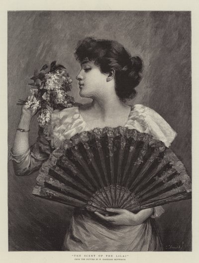 رائحة الليلك بواسطة فرانك ماركام سكيبورث